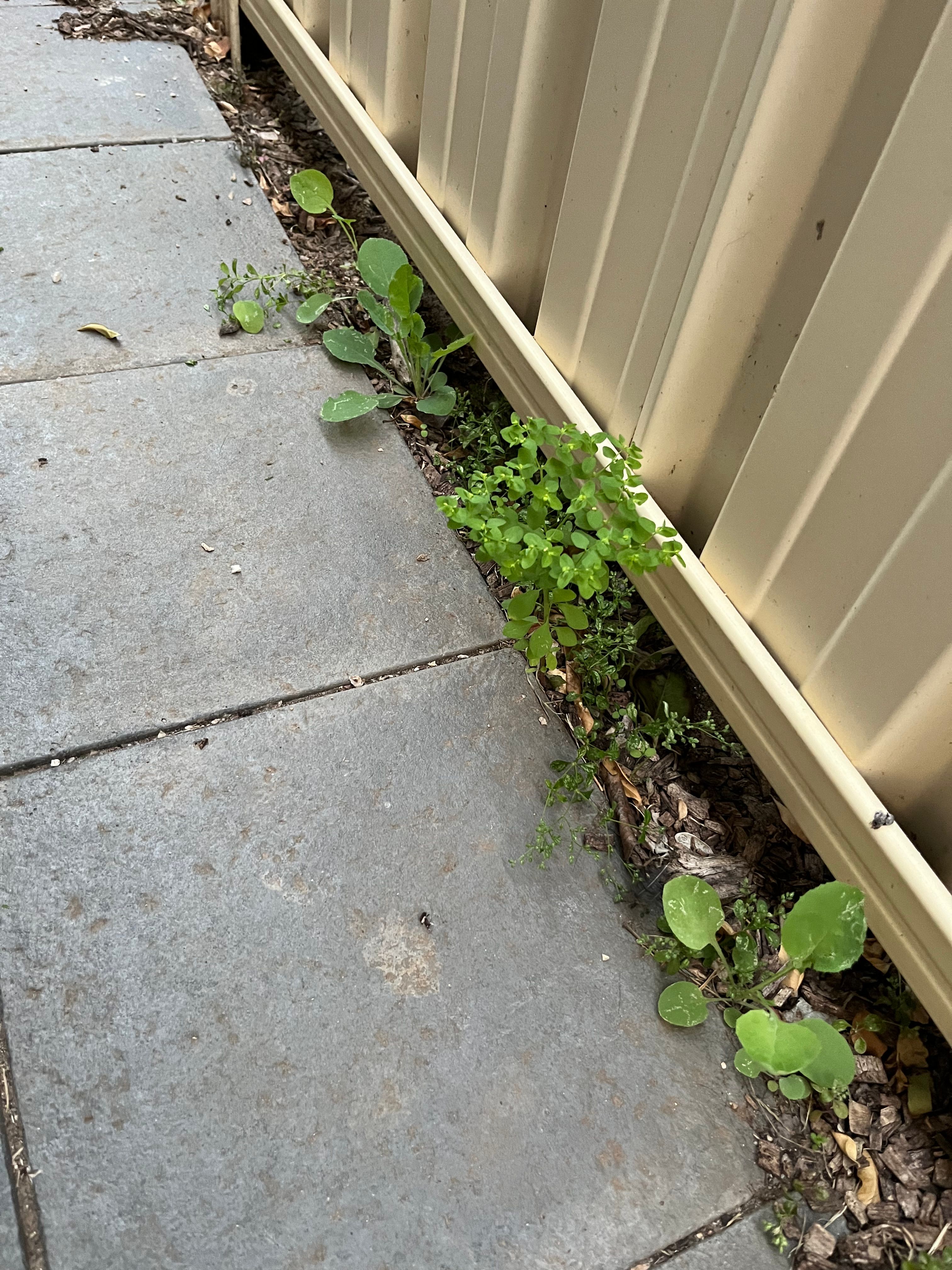 How to seal the bottom of Colourbond fen... Bunnings community