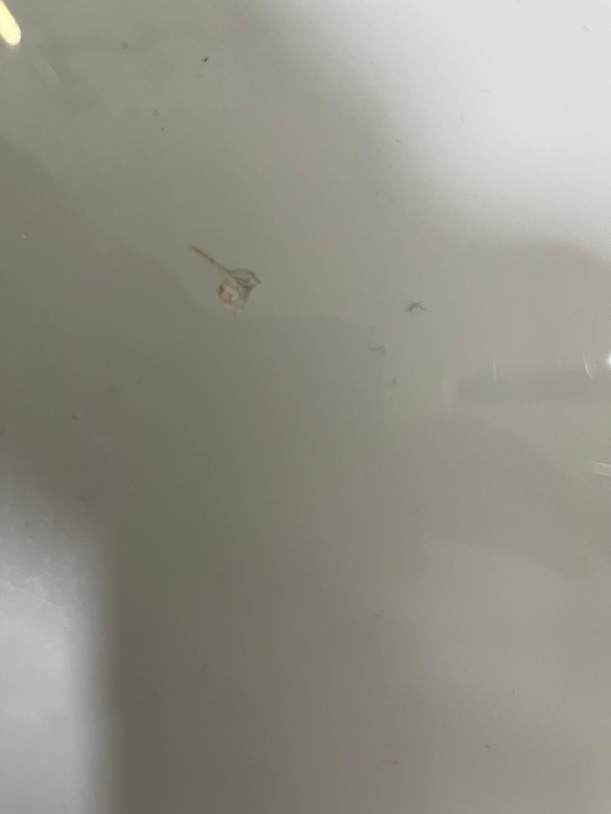 How to repair bathtub scratches and dent... Bunnings community