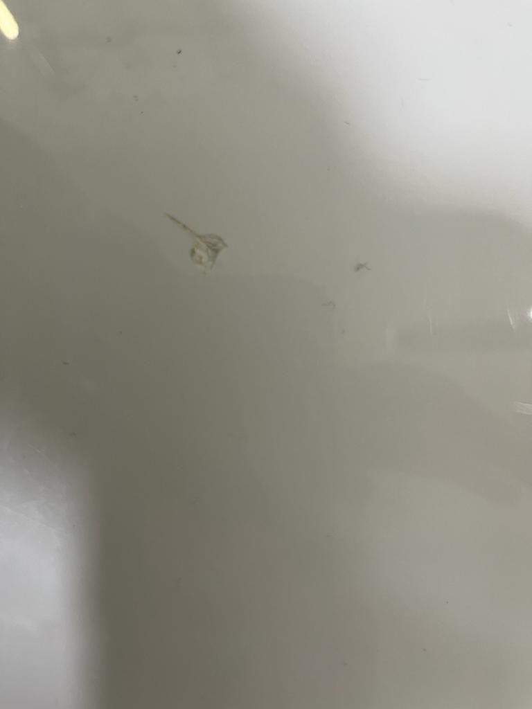 How to repair bathtub scratches and dent... Bunnings community
