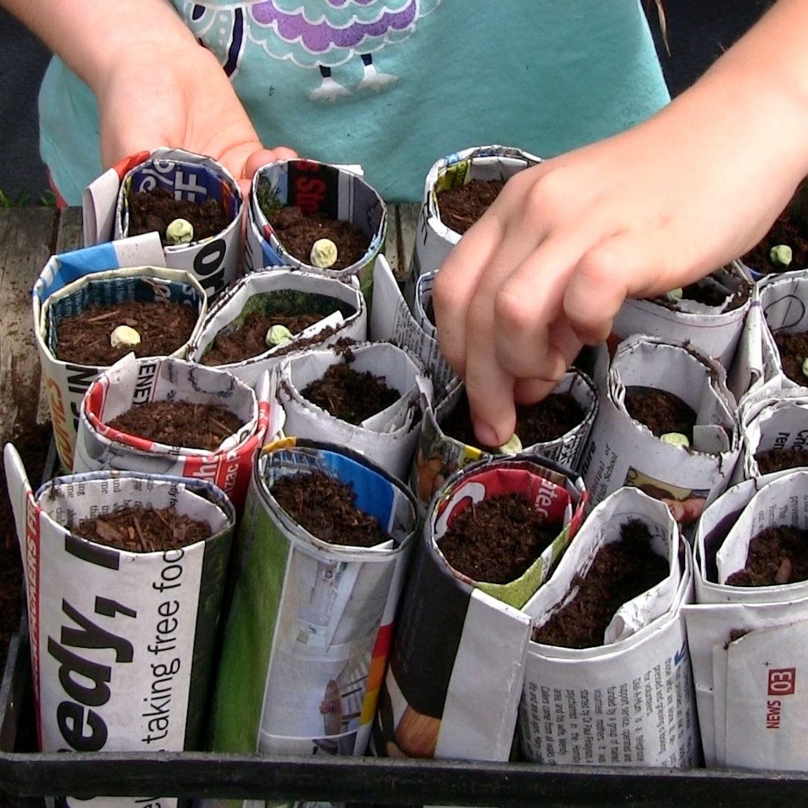 How to make seed pots using paper Bunnings community