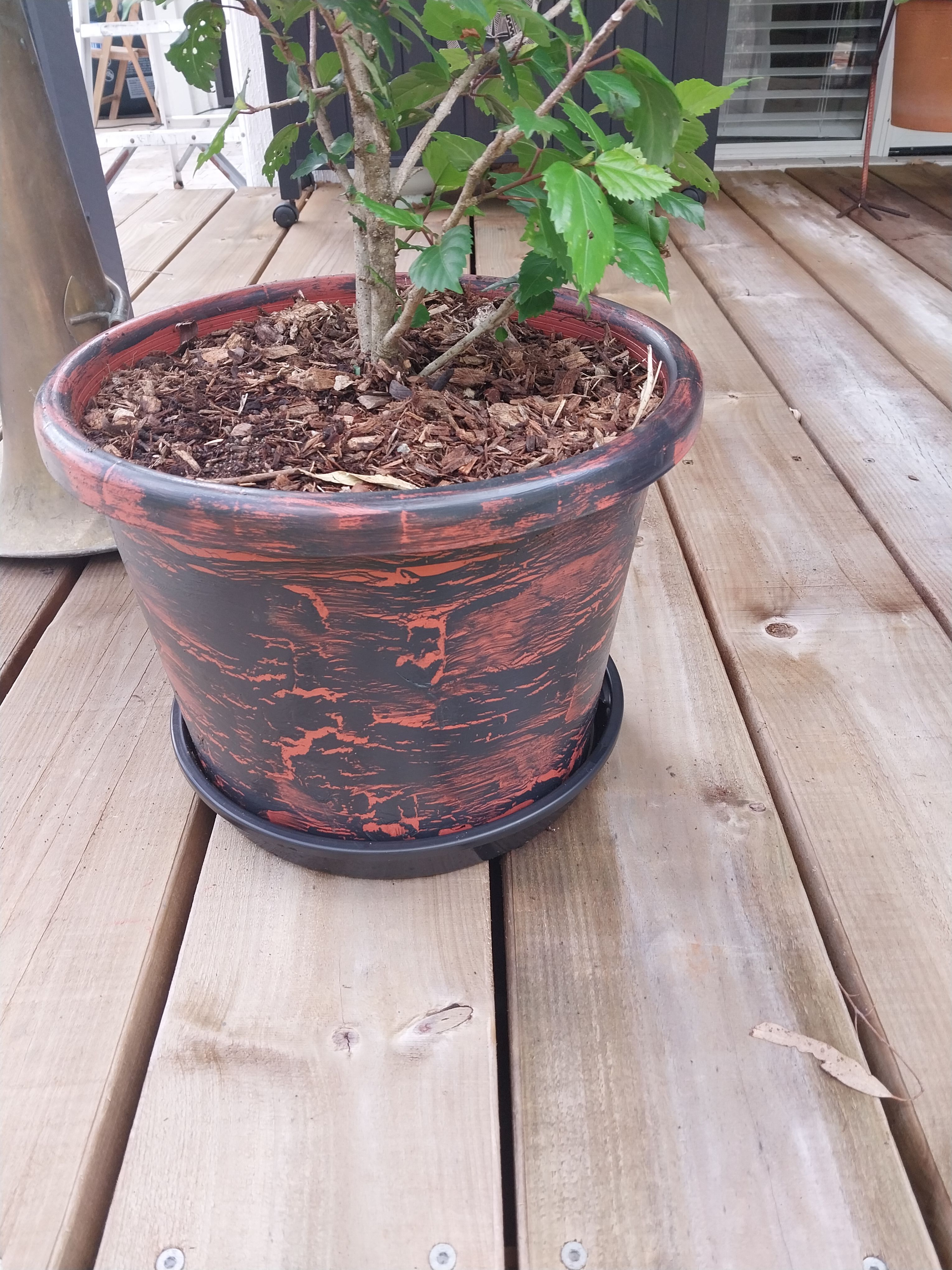 Transformed plastic garden planters Bunnings community