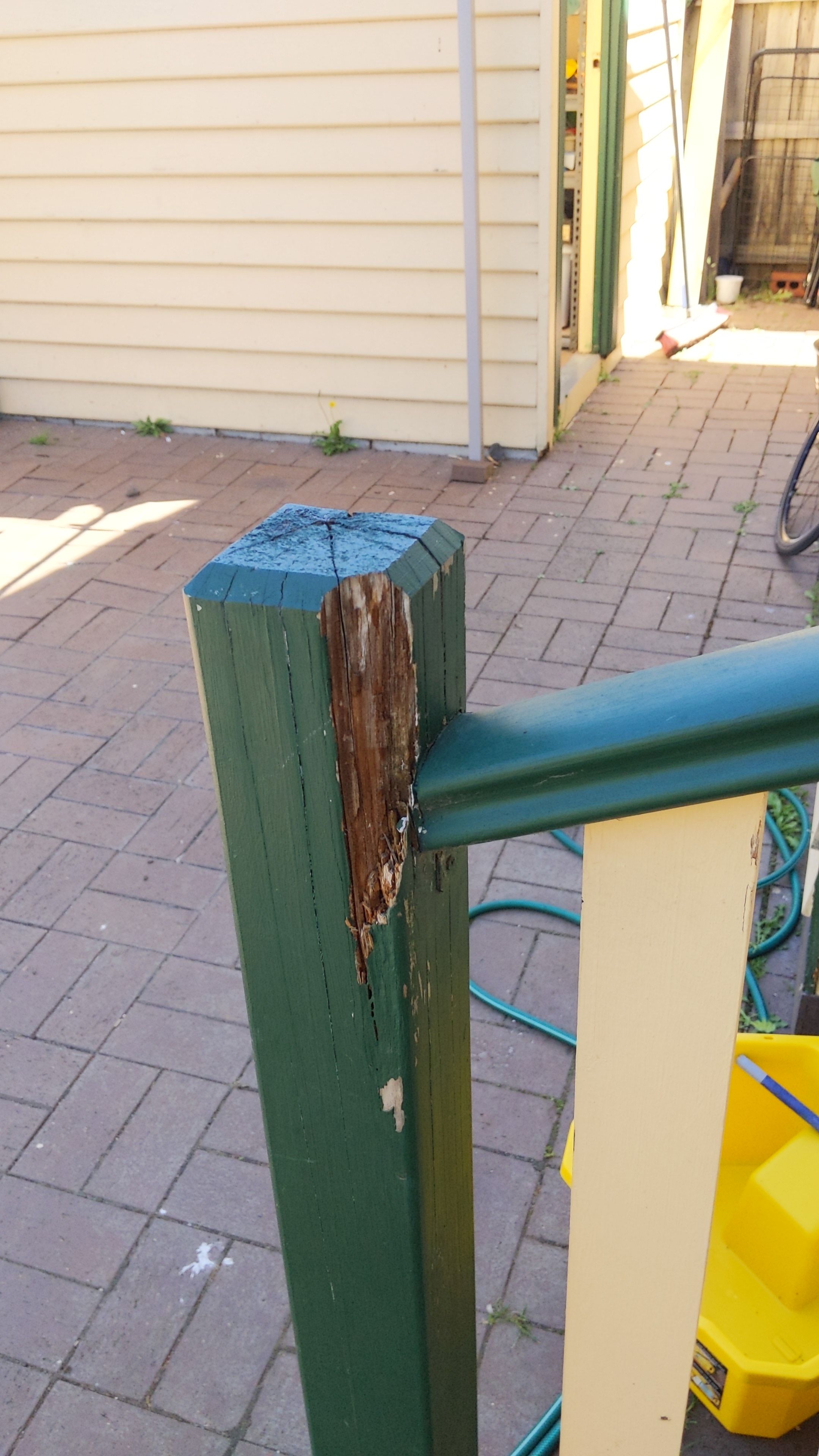 How To Identify Dry Rot DIY At Bunnings