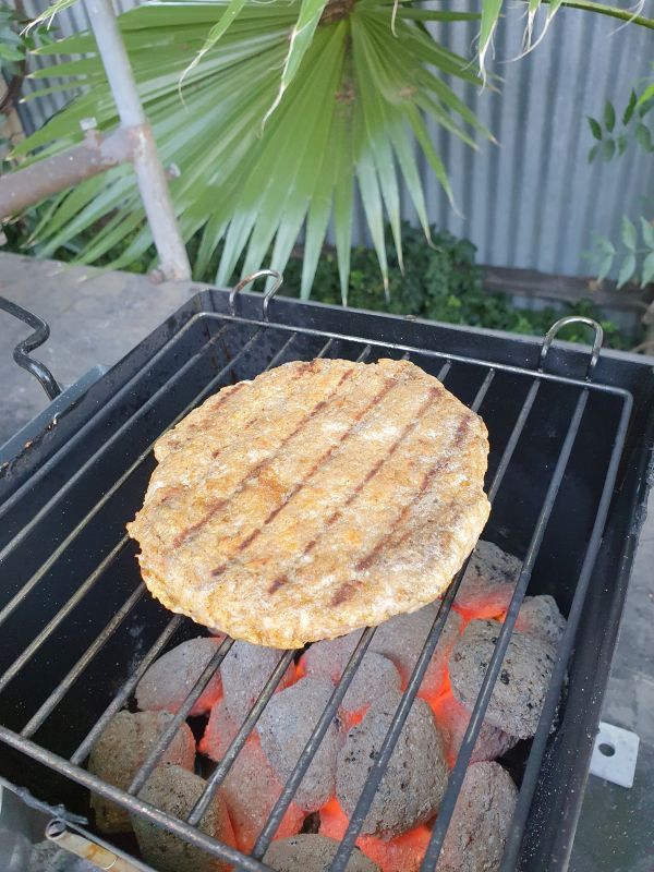 Collapsible barbeque starter Bunnings community