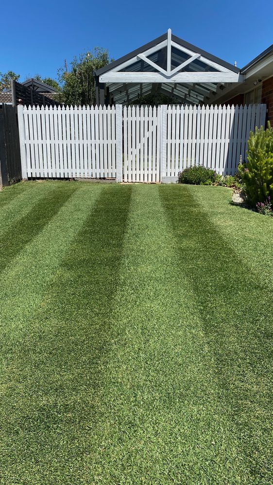 6 February - BEFORE mid-season lawn renovation