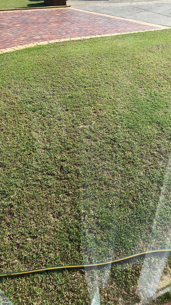 15 February - 9 days after mid-season reno: