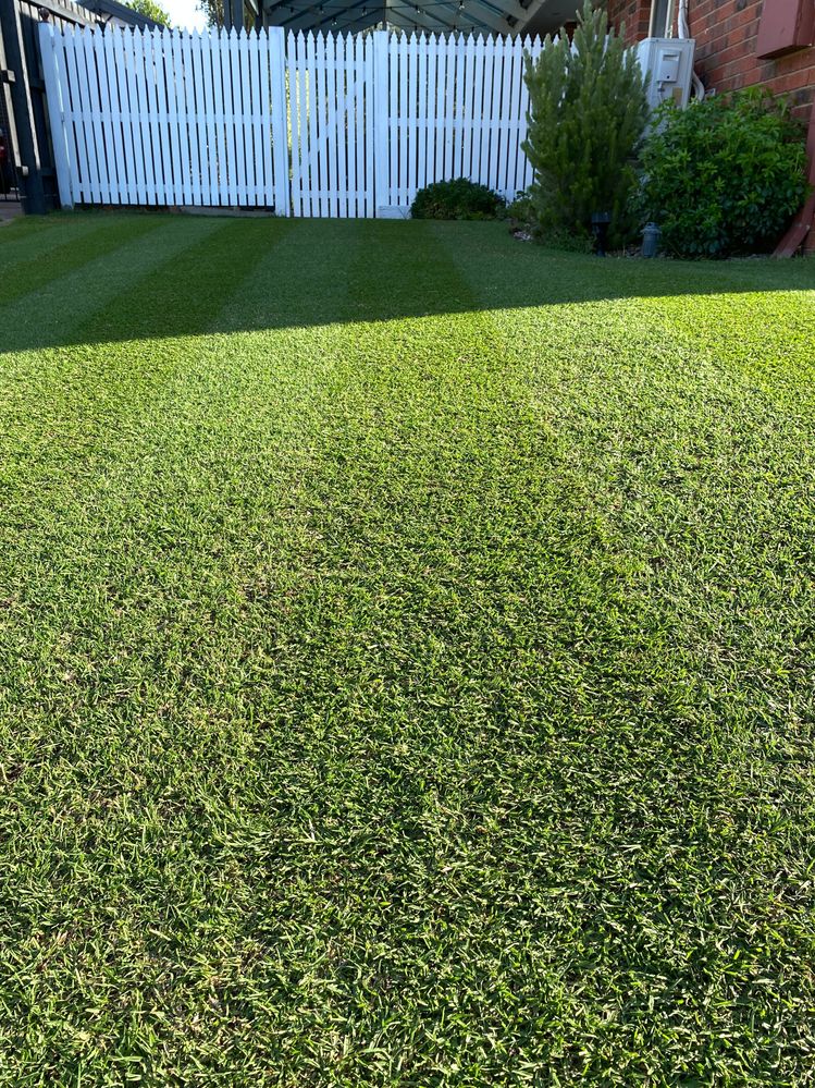 22 February - 16 days after mid-season reno: