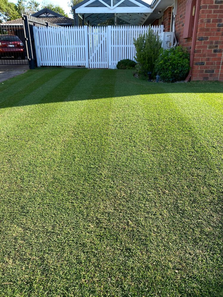 22 February - 16 days after mid-season reno: