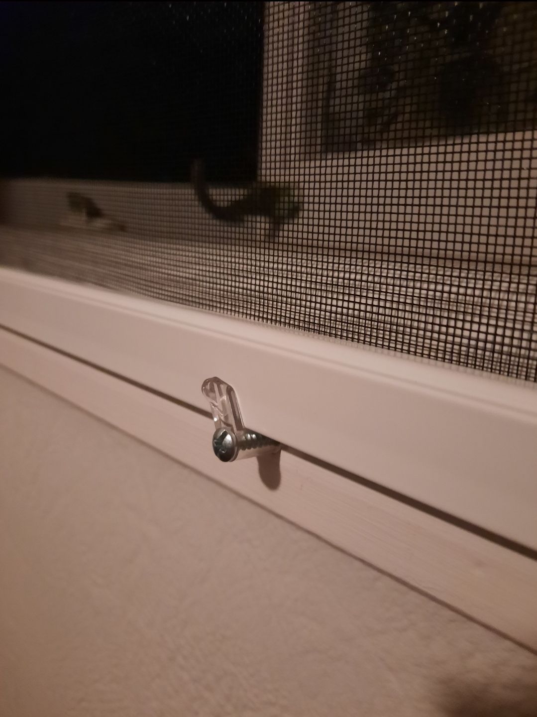 Insect screens for casement windows Bunnings community