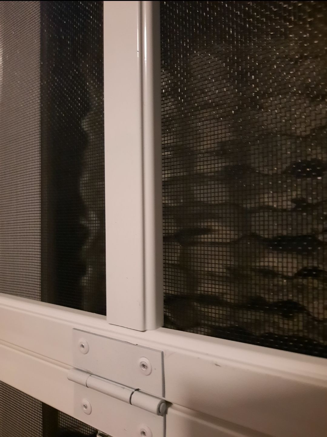 Insect screens for casement windows Bunnings community