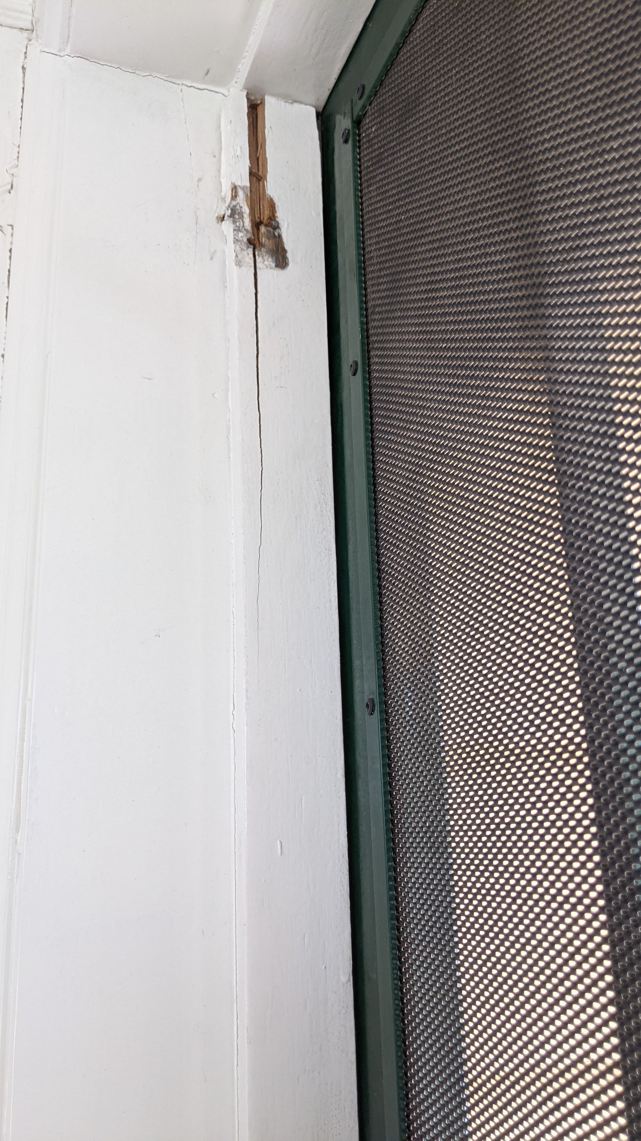 How to repair a screen door frame? Bunnings community