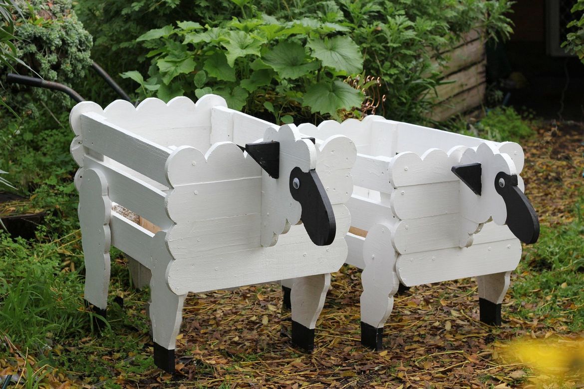 I left the Ewe and the Ram out for one night together.