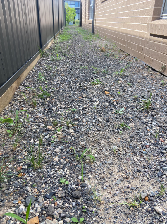 Laying Pavers Sideway Bunnings community