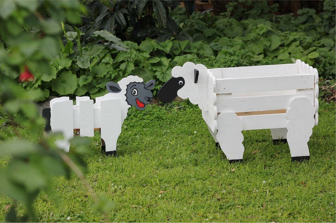 Now we have a cheeky lamb.