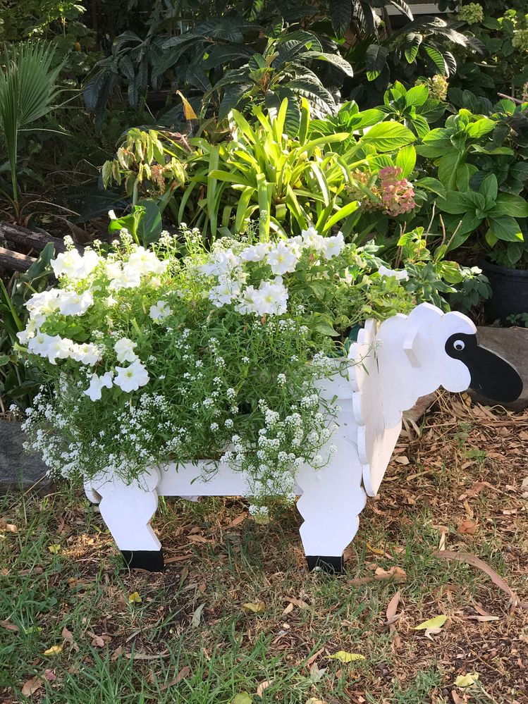 The Bunnings plant section is handy.