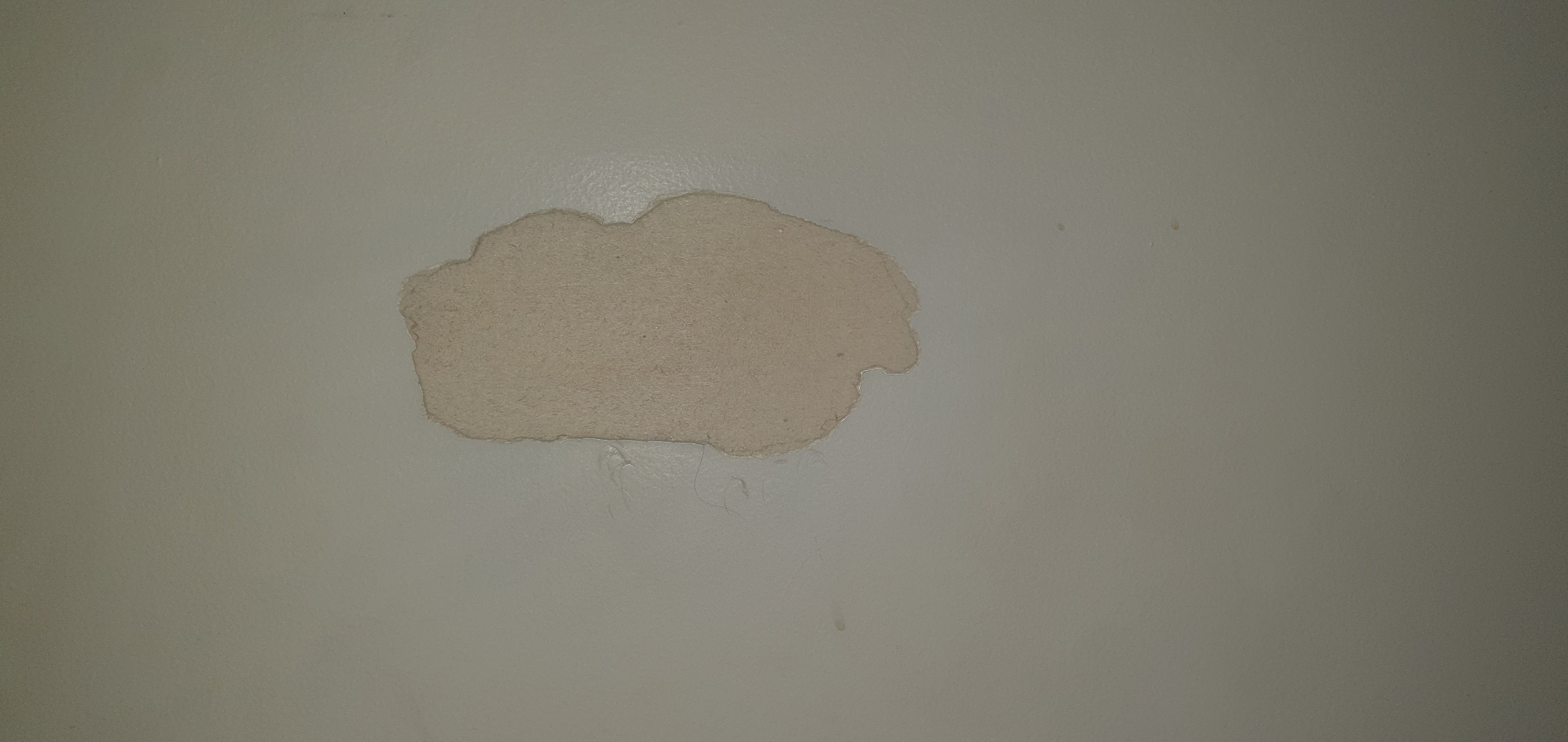 How to fix paint that has ripped off wal... Bunnings community