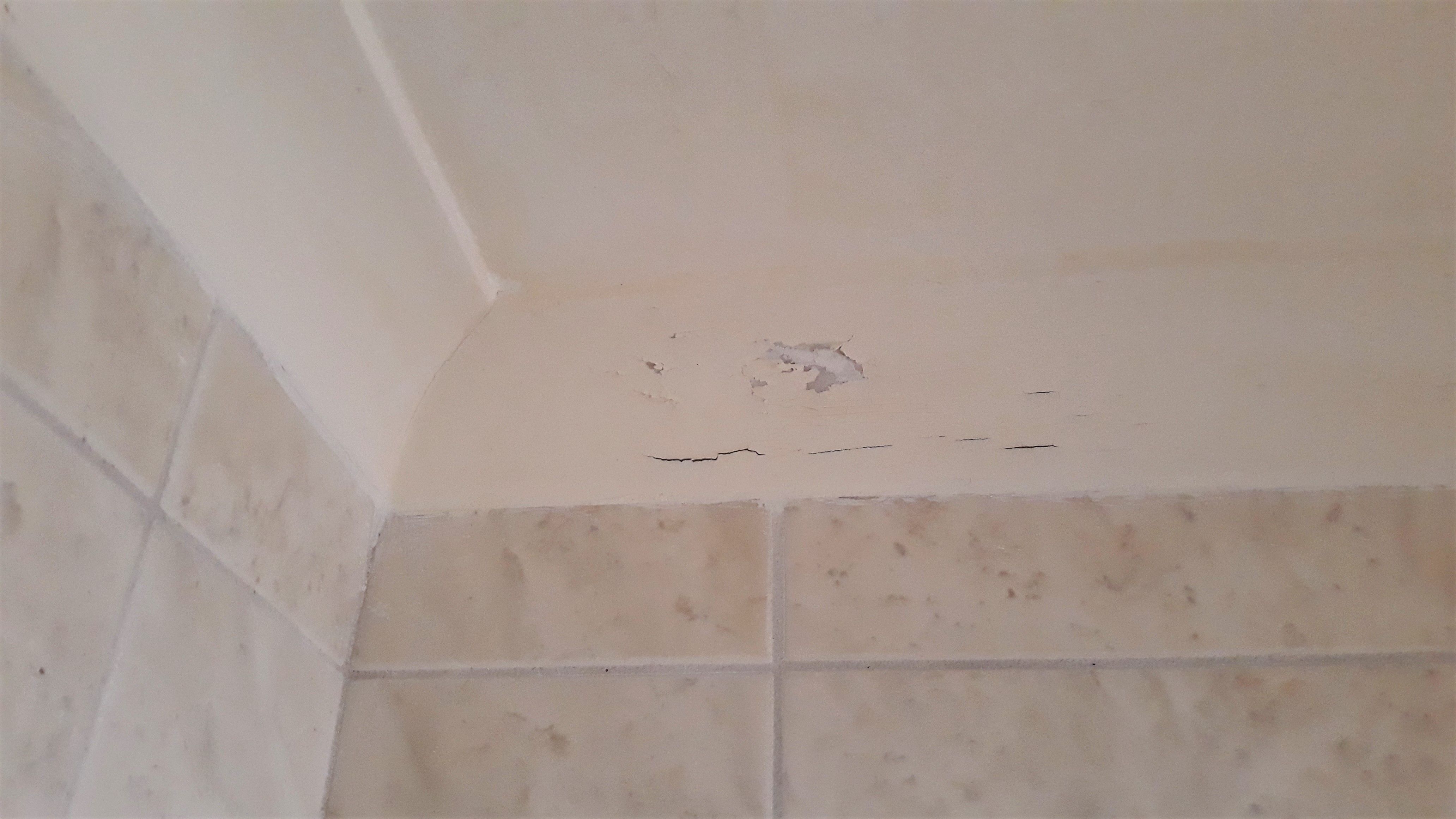 How do I repaint walls ceilings where th... Bunnings community