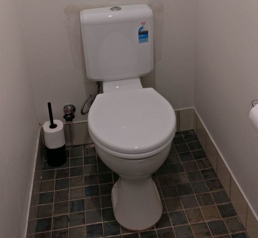 new_cistern_and_seat_installed.jpg