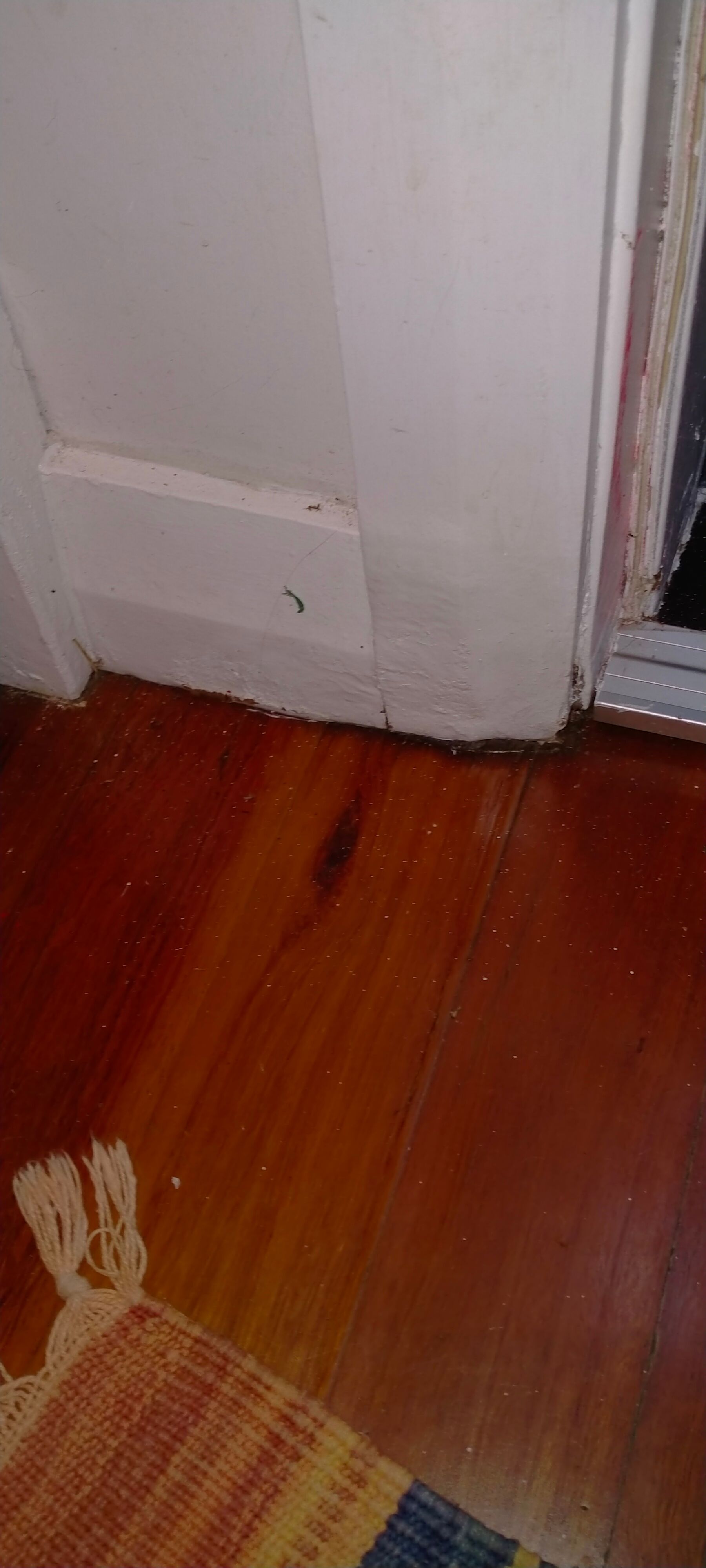 How to prevent a front door from stickin... Bunnings community