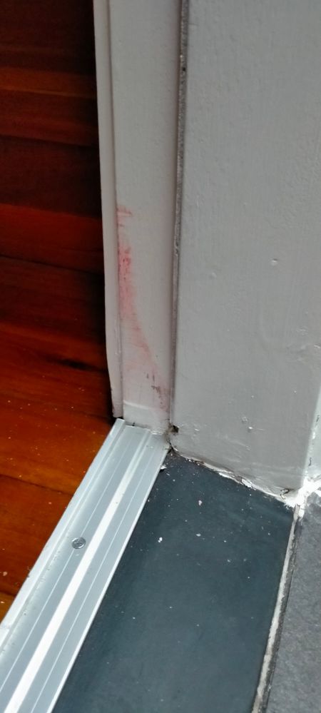 Paint from Front Door
