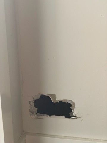 How to repair plasterboard damage? | Bunnings Workshop community