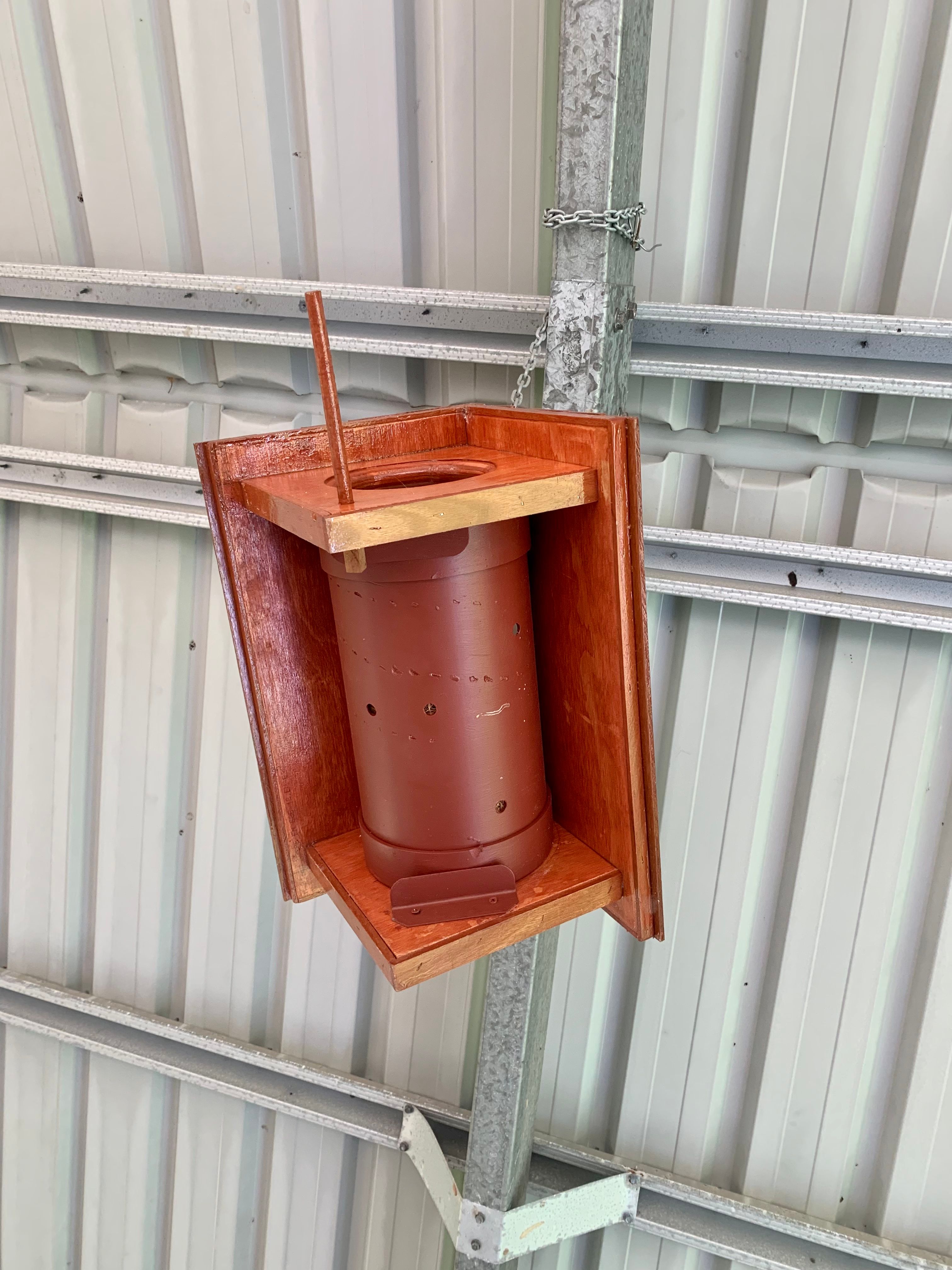 Bird house project Bunnings community