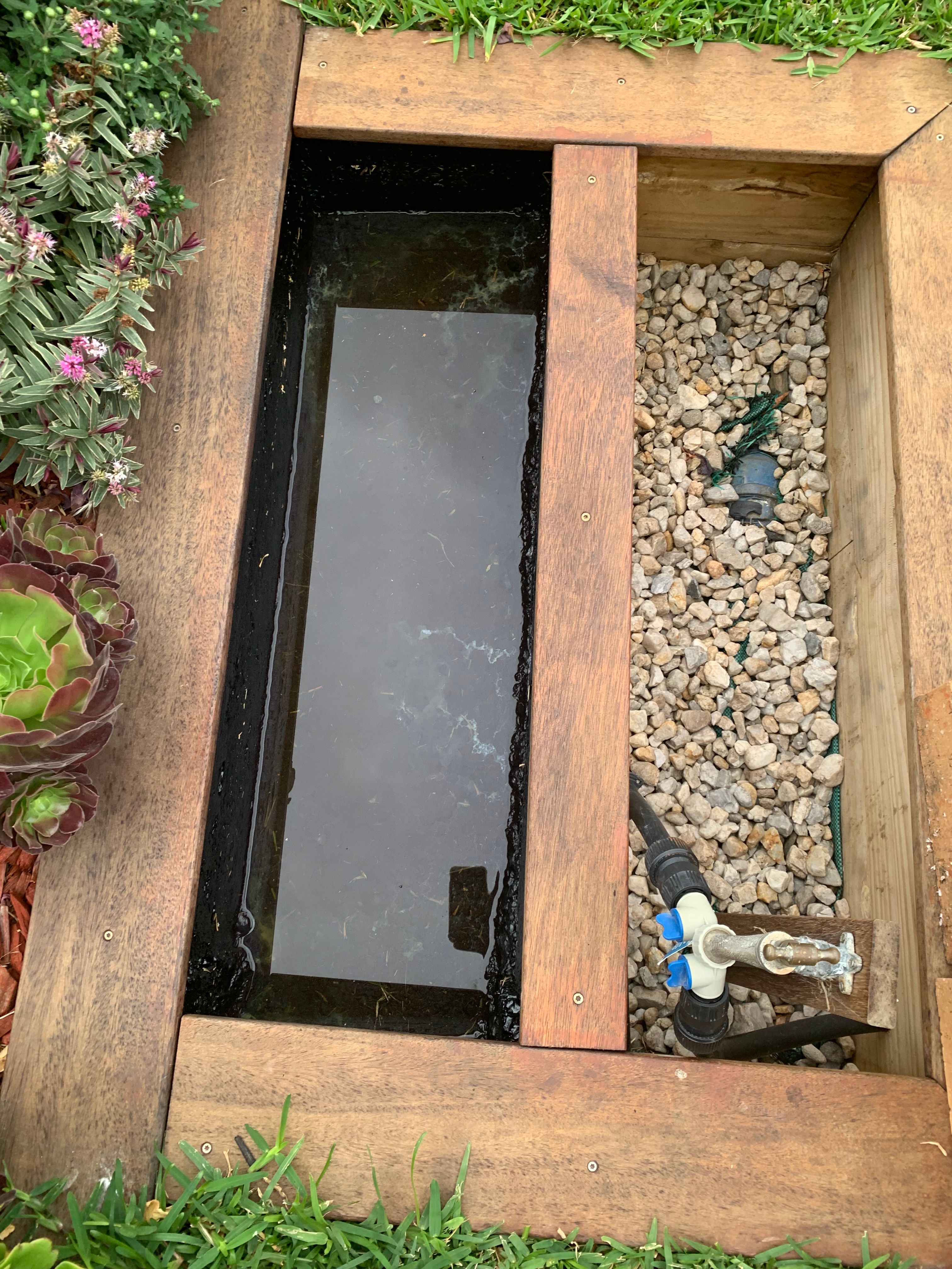How to add water plants to a small pond? Bunnings community