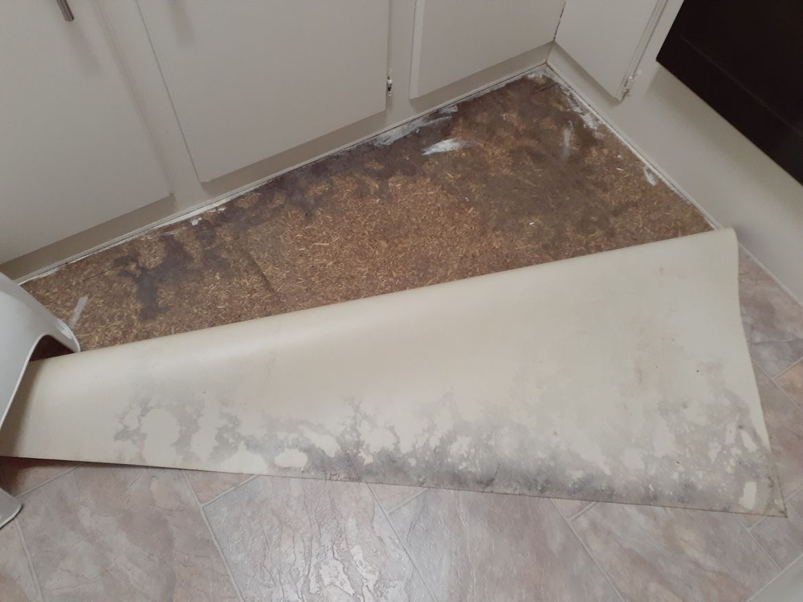 still damp and mouldy floor