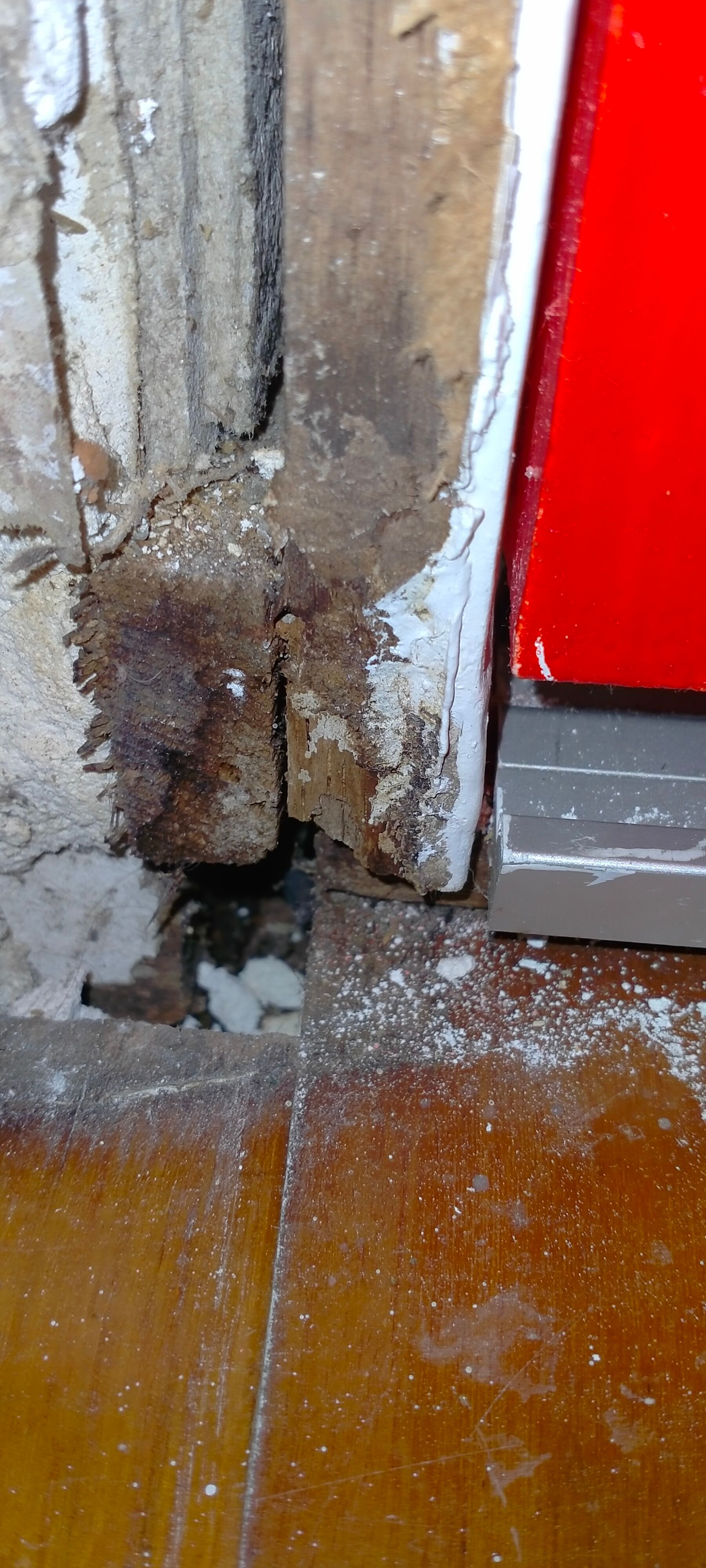 How to prevent a front door from stickin... Bunnings community