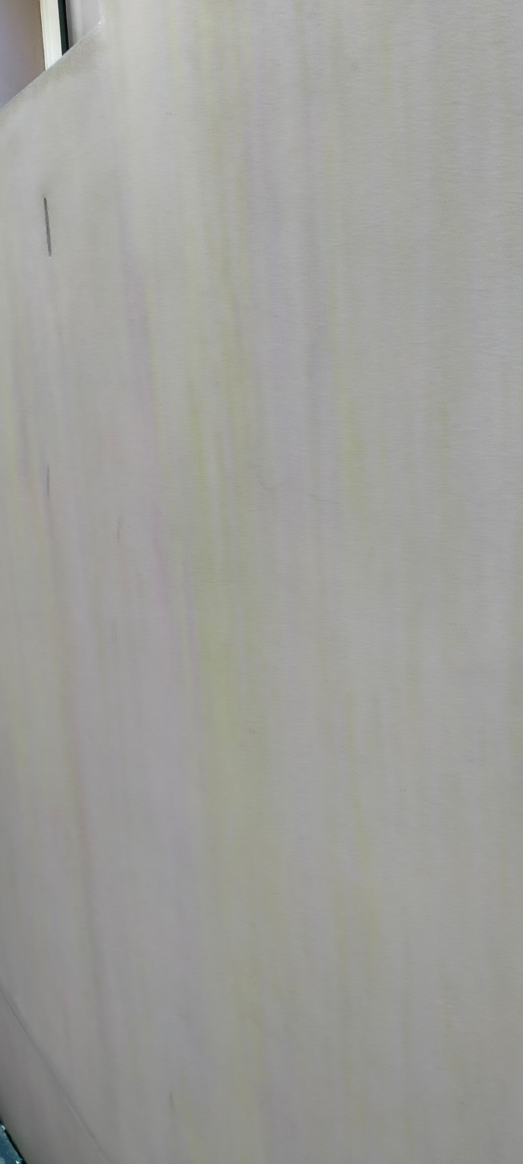 How to remove mould on roof and walls? Bunnings community