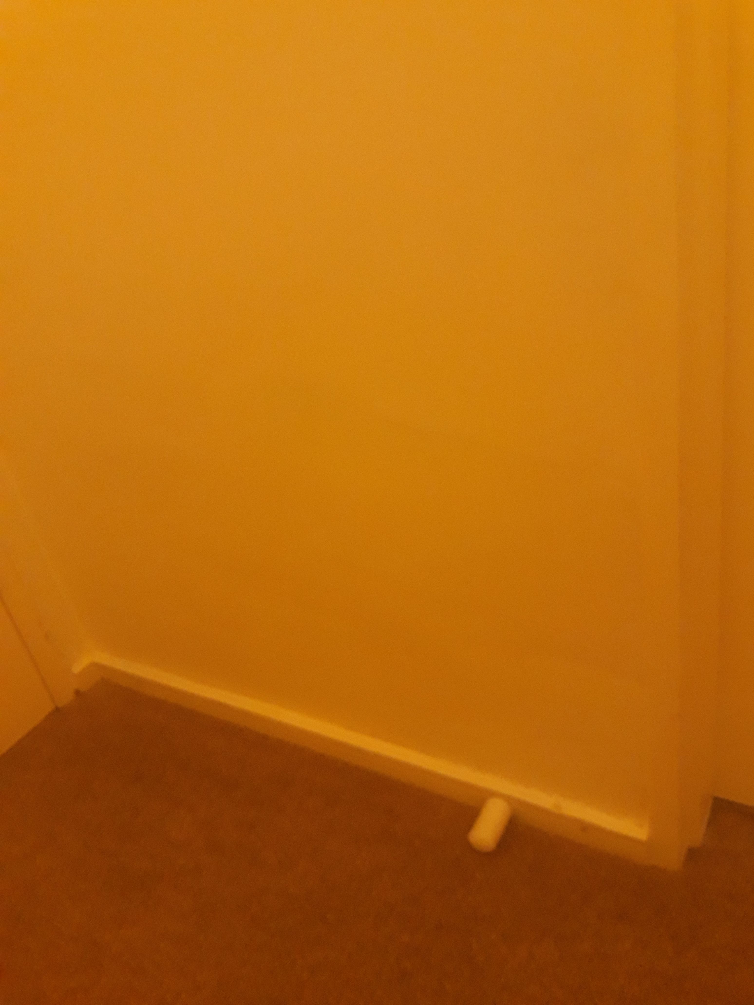 Why is the paint completely peeling off Bunnings community