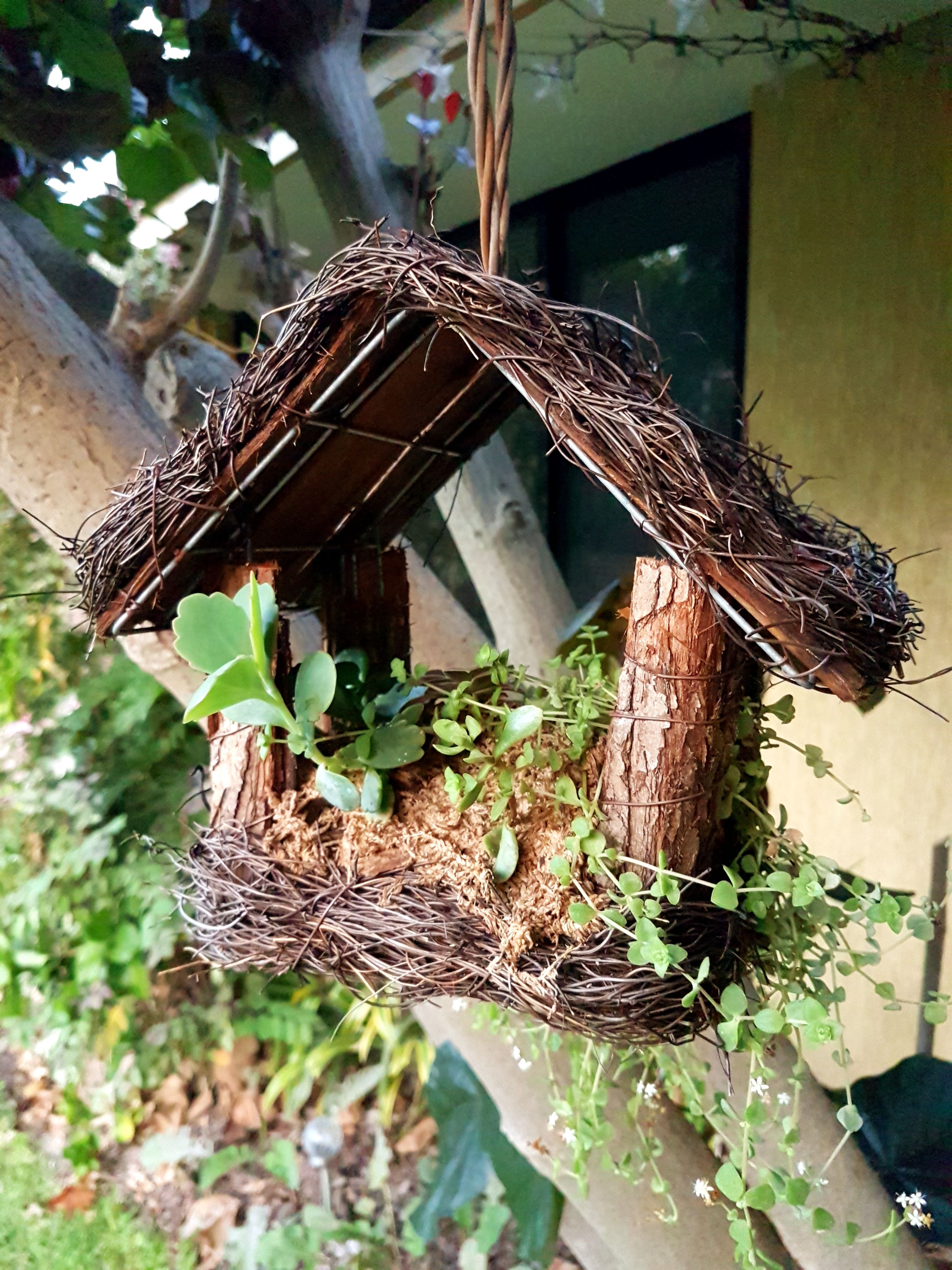 Bird feeder garden Bunnings community