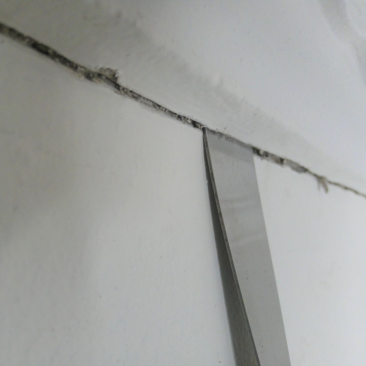 How to repair a cracked cornice Bunnings community