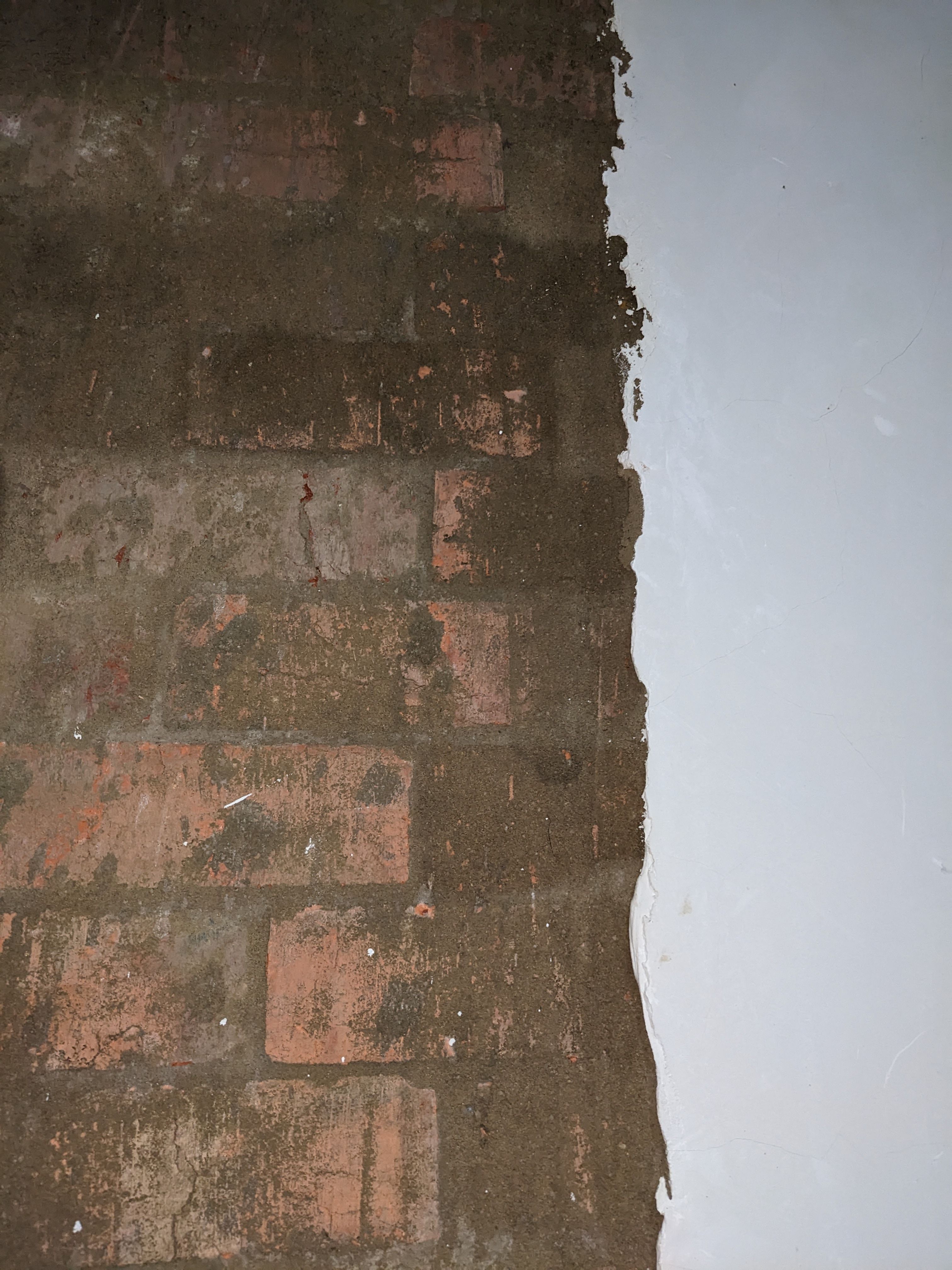 How to render interior wall? Bunnings community