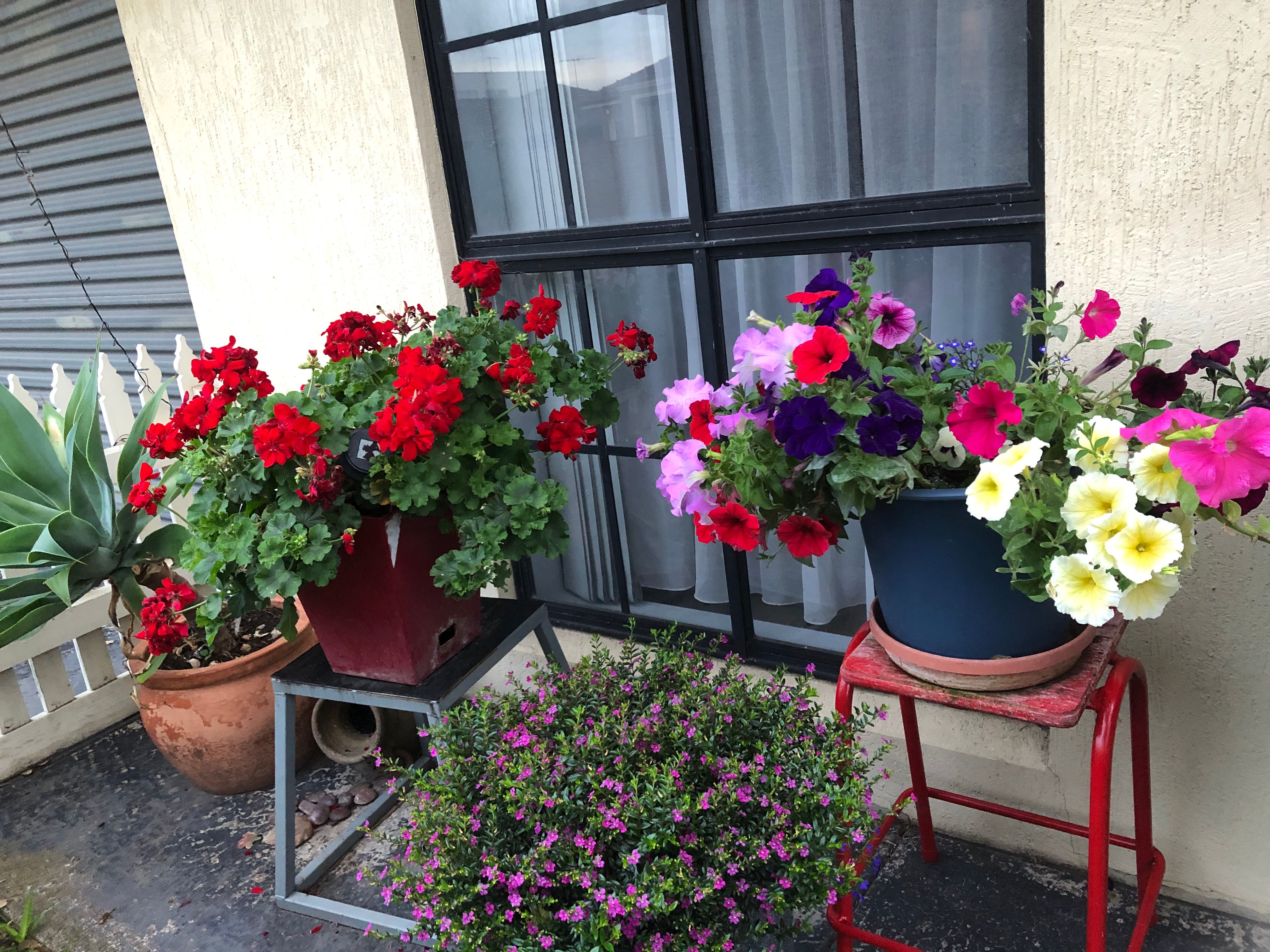 Do I need to undercoat a bedside table? Bunnings community