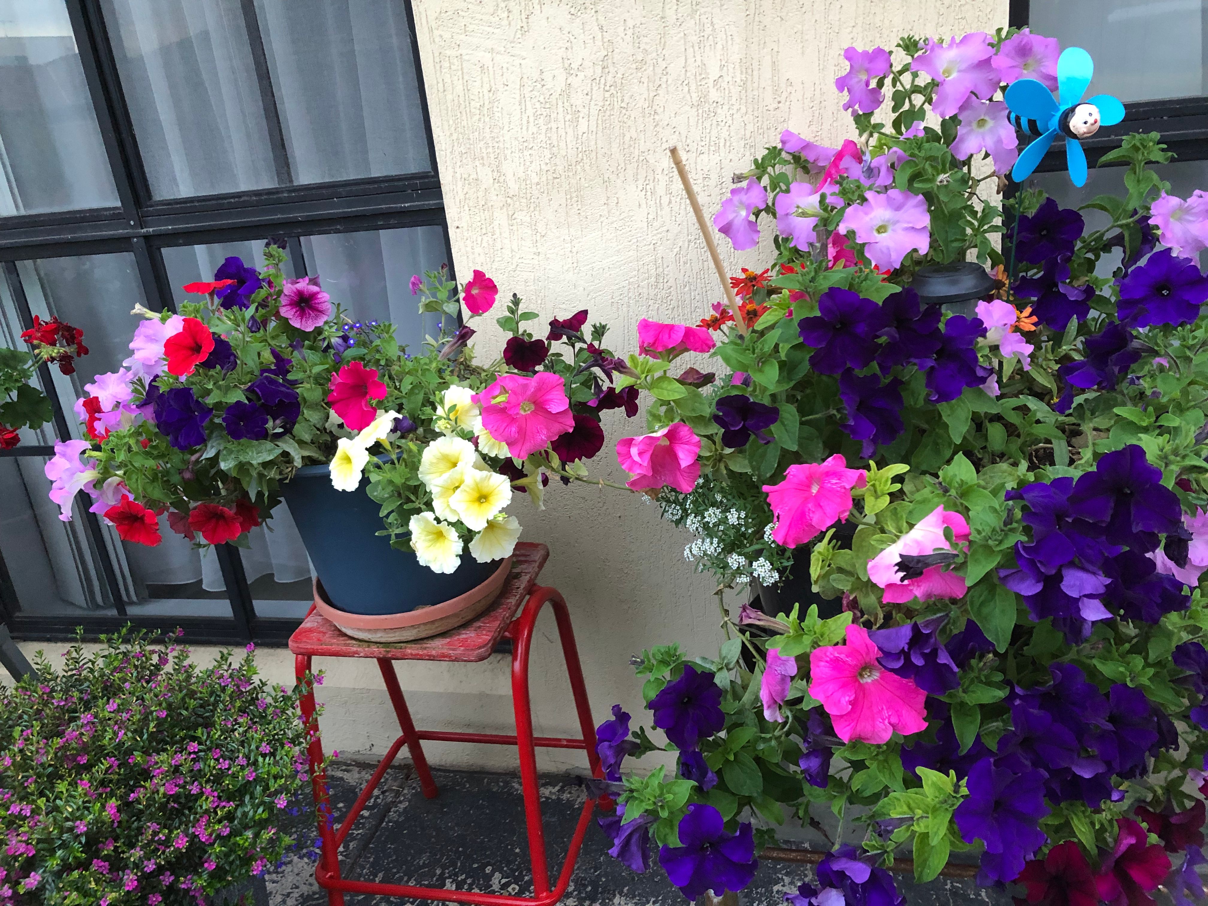 Do I need to undercoat a bedside table? Bunnings community