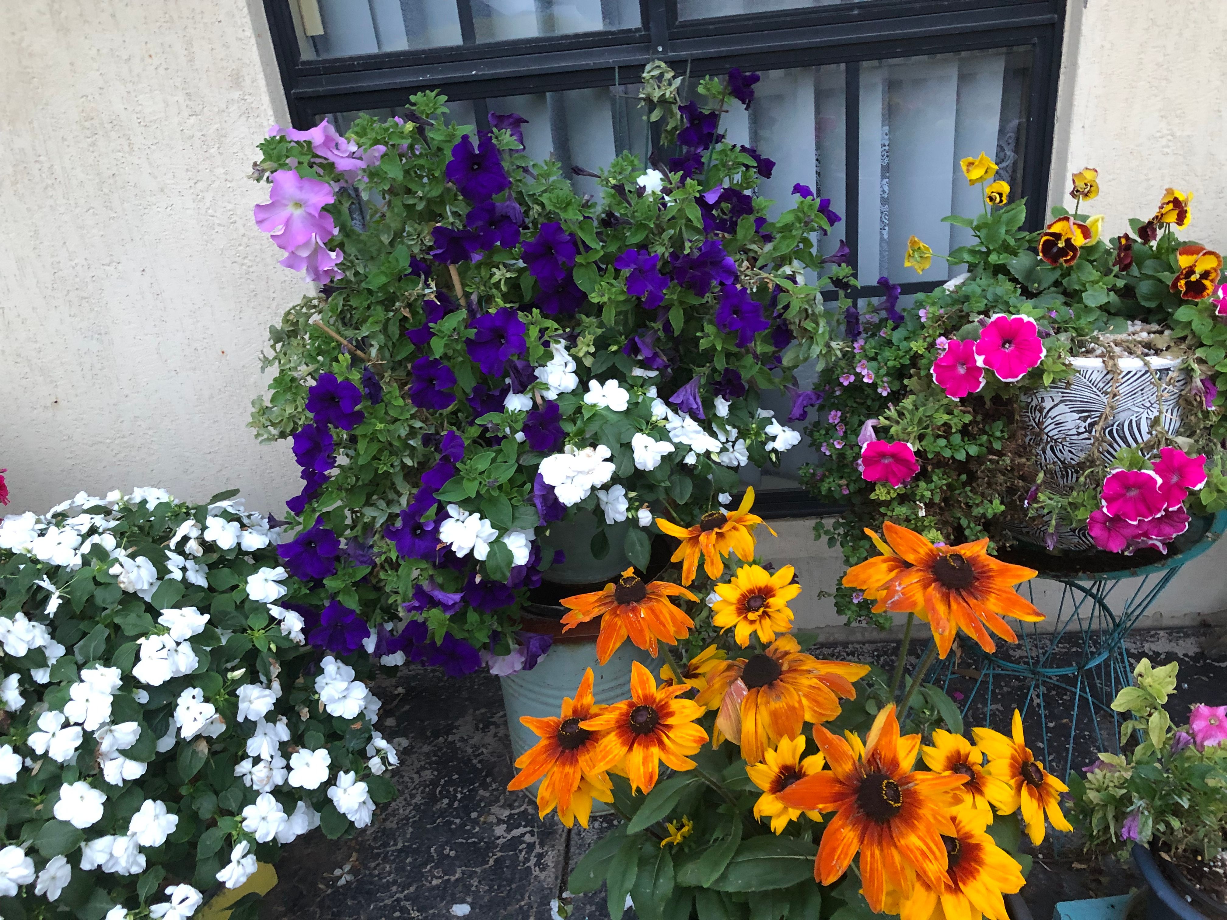 Do I need to undercoat a bedside table? Bunnings community