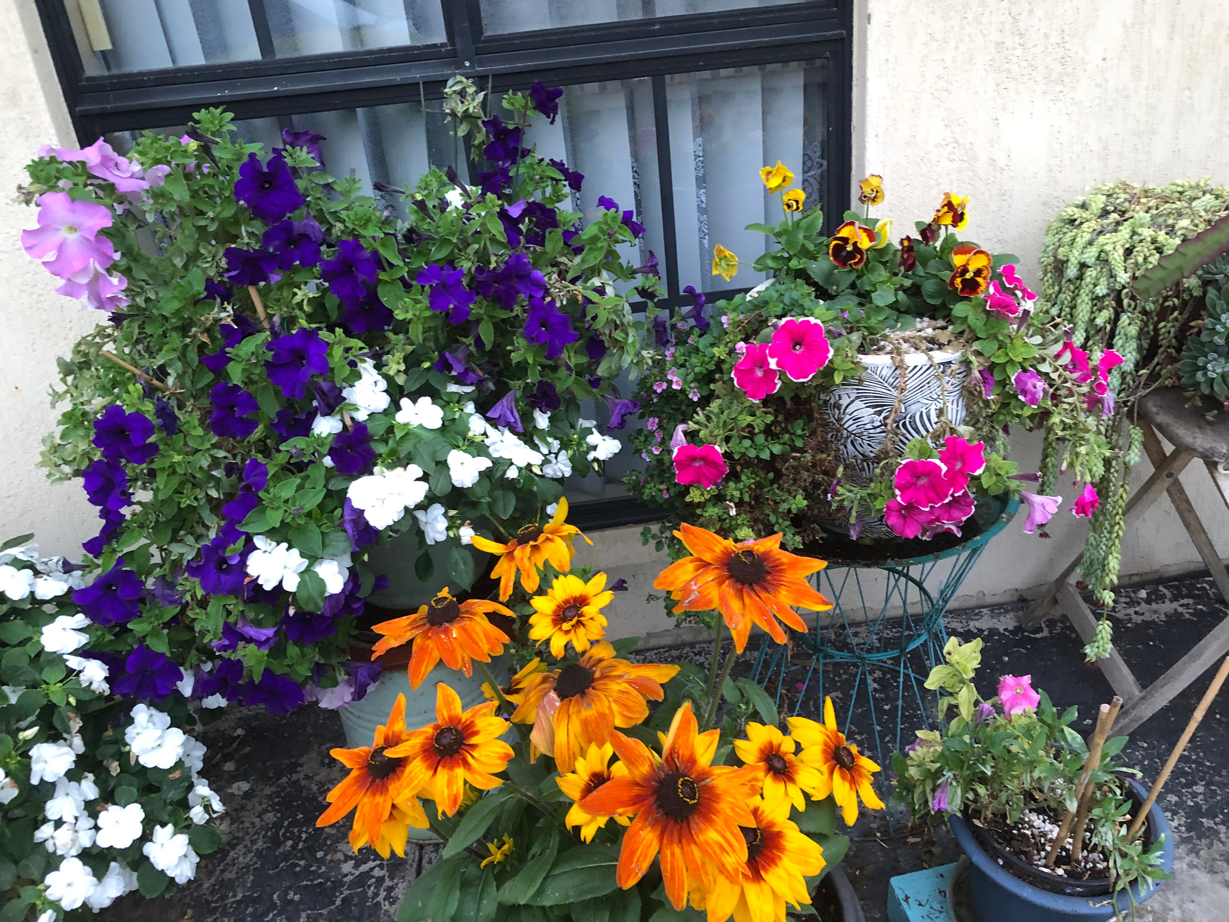 Do I need to undercoat a bedside table? Bunnings community