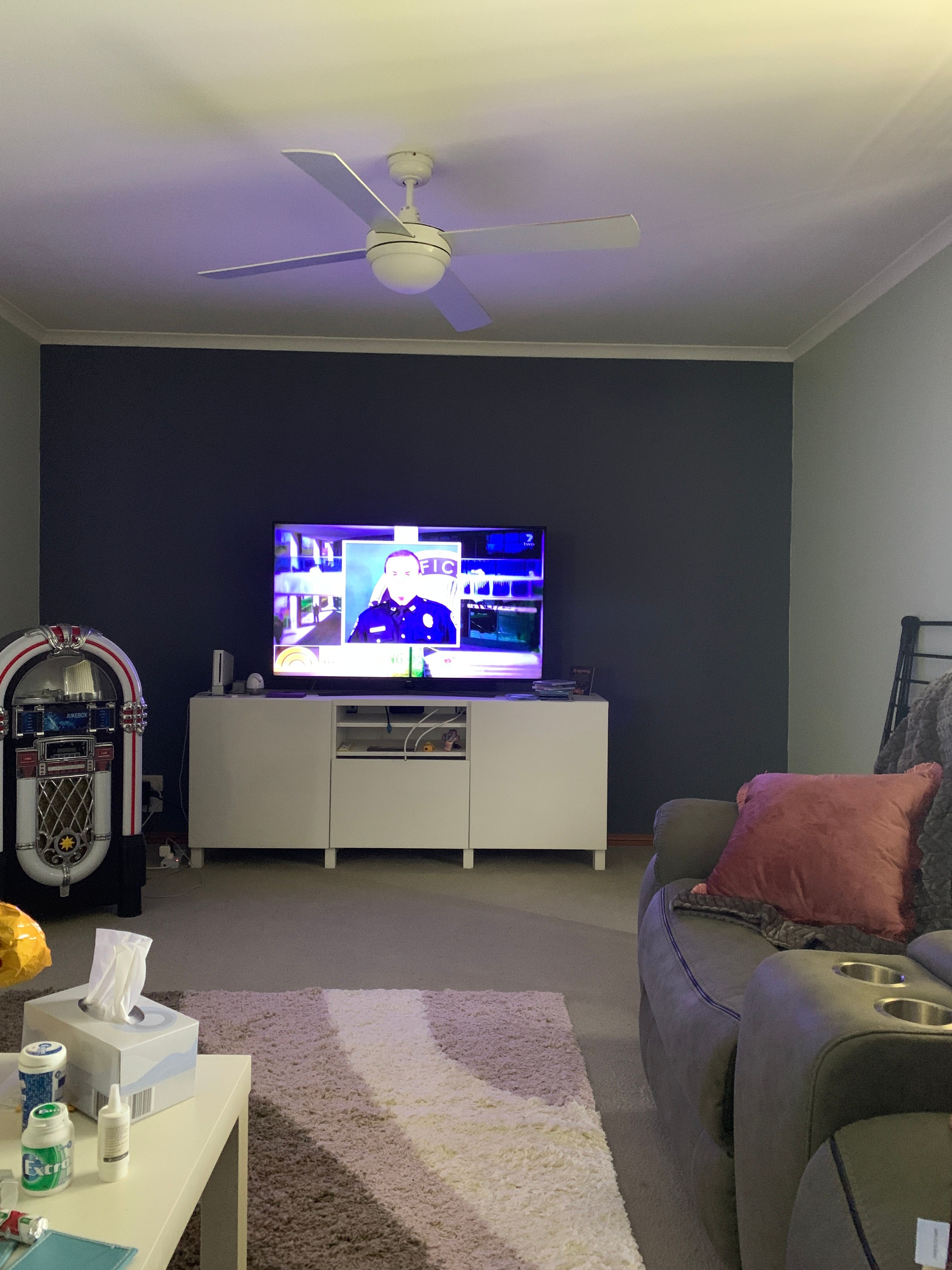 How to paint over a dark colour? Bunnings community