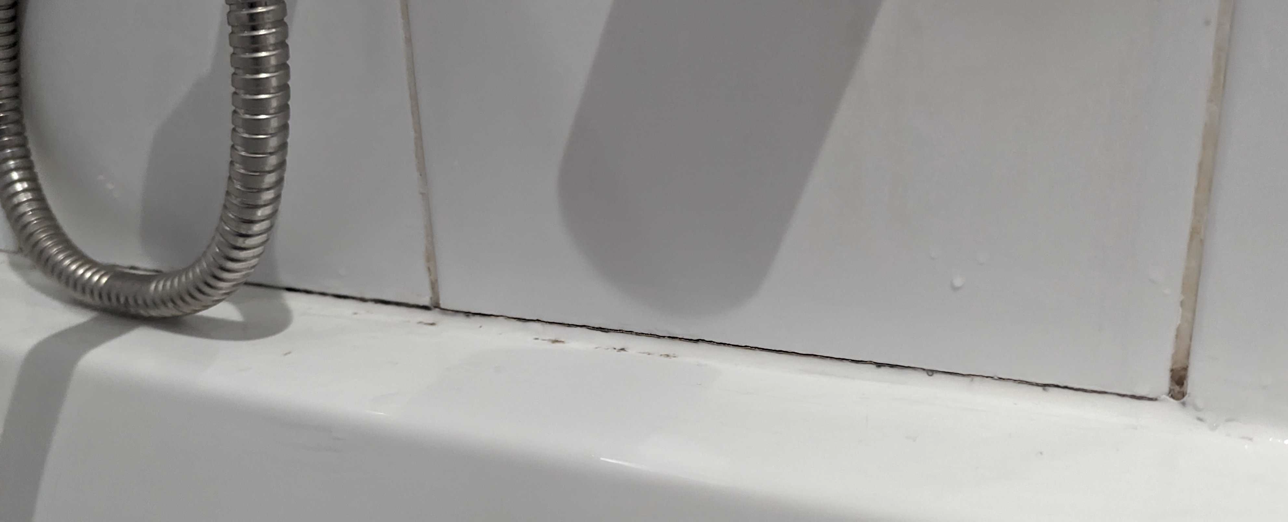How to remove black mould in bathroom on... Bunnings community