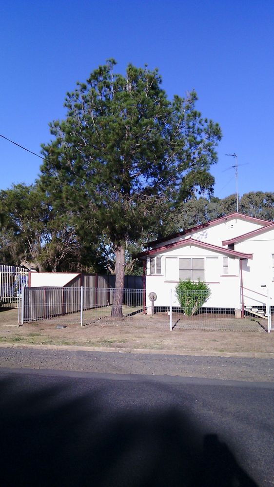Fence in front of home 1