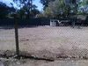 Back  Fence Pic 2,
