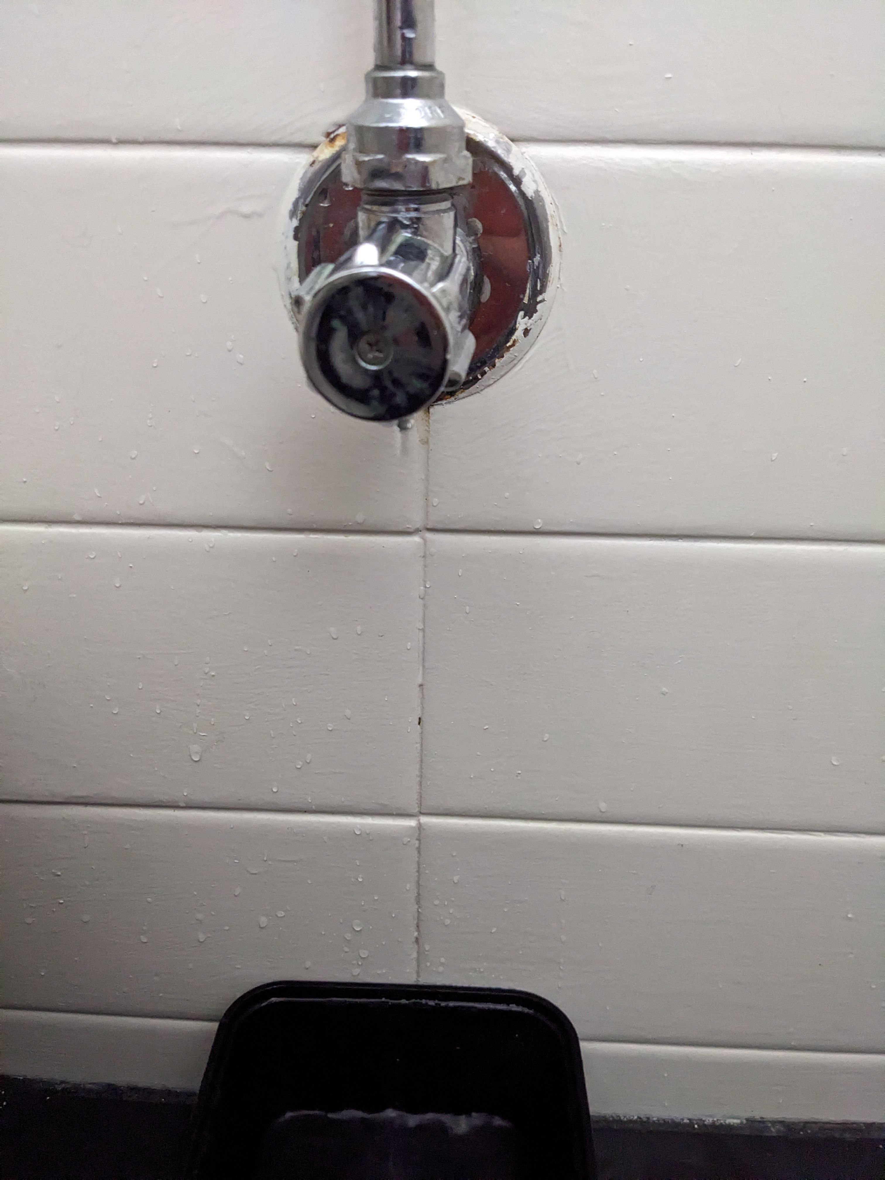 Solved Special dye to detect toilet leak? Bunnings community