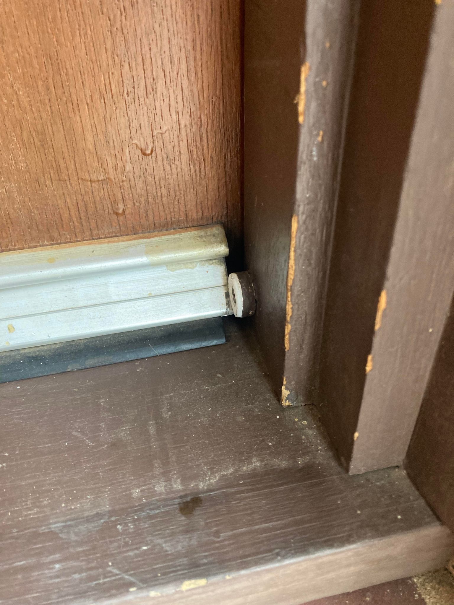 How to patch gap in front door trim? Bunnings community