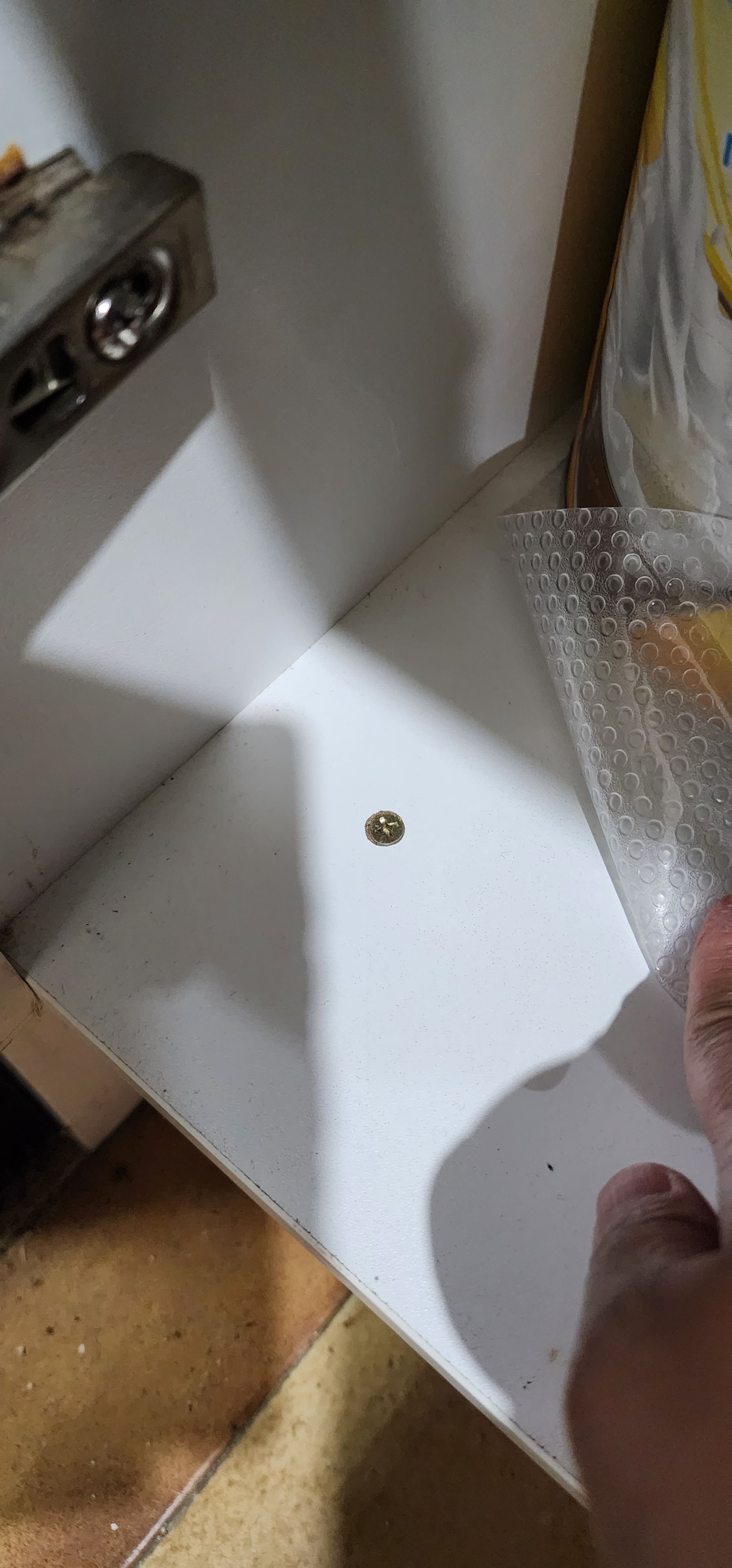 How to remove this kickboard? Bunnings community