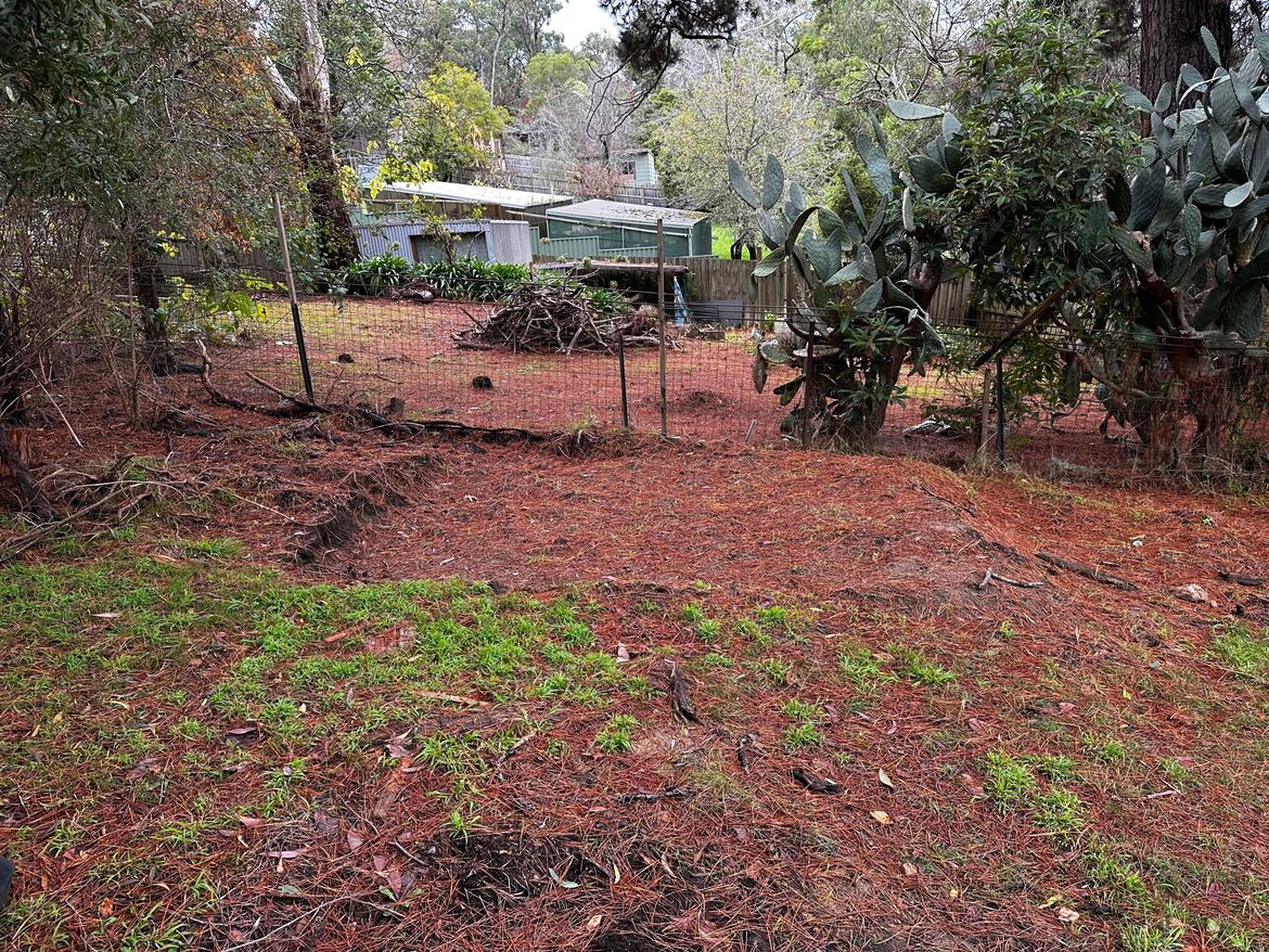 Front view, area to be potentially retained on the left