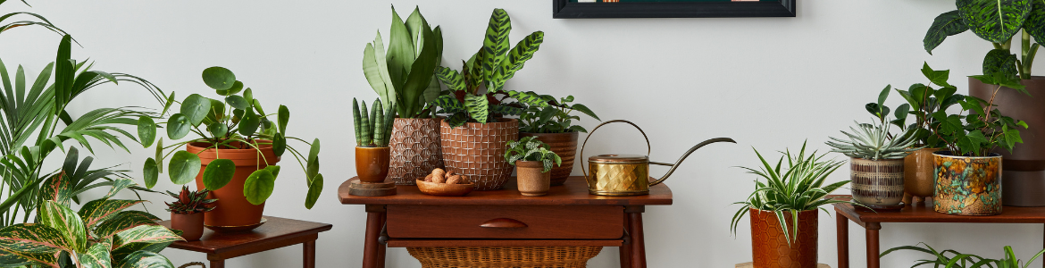 Hero Image Test Blog - 2023-05-11T114409.762.png