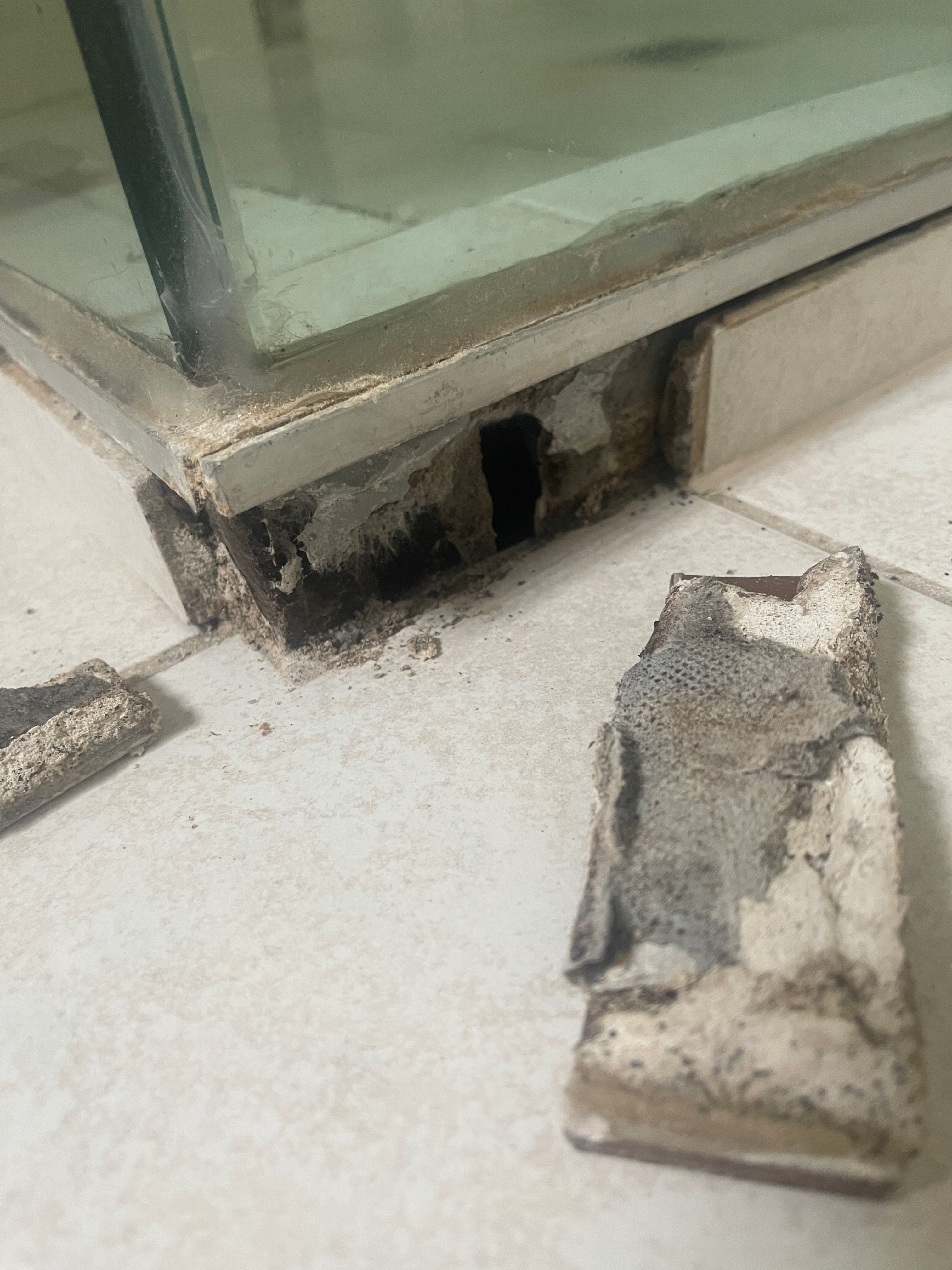 How to repair tiles on shower hob? Bunnings community