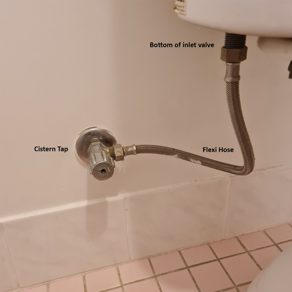 1.3 Parts at the bottom of cistern.png