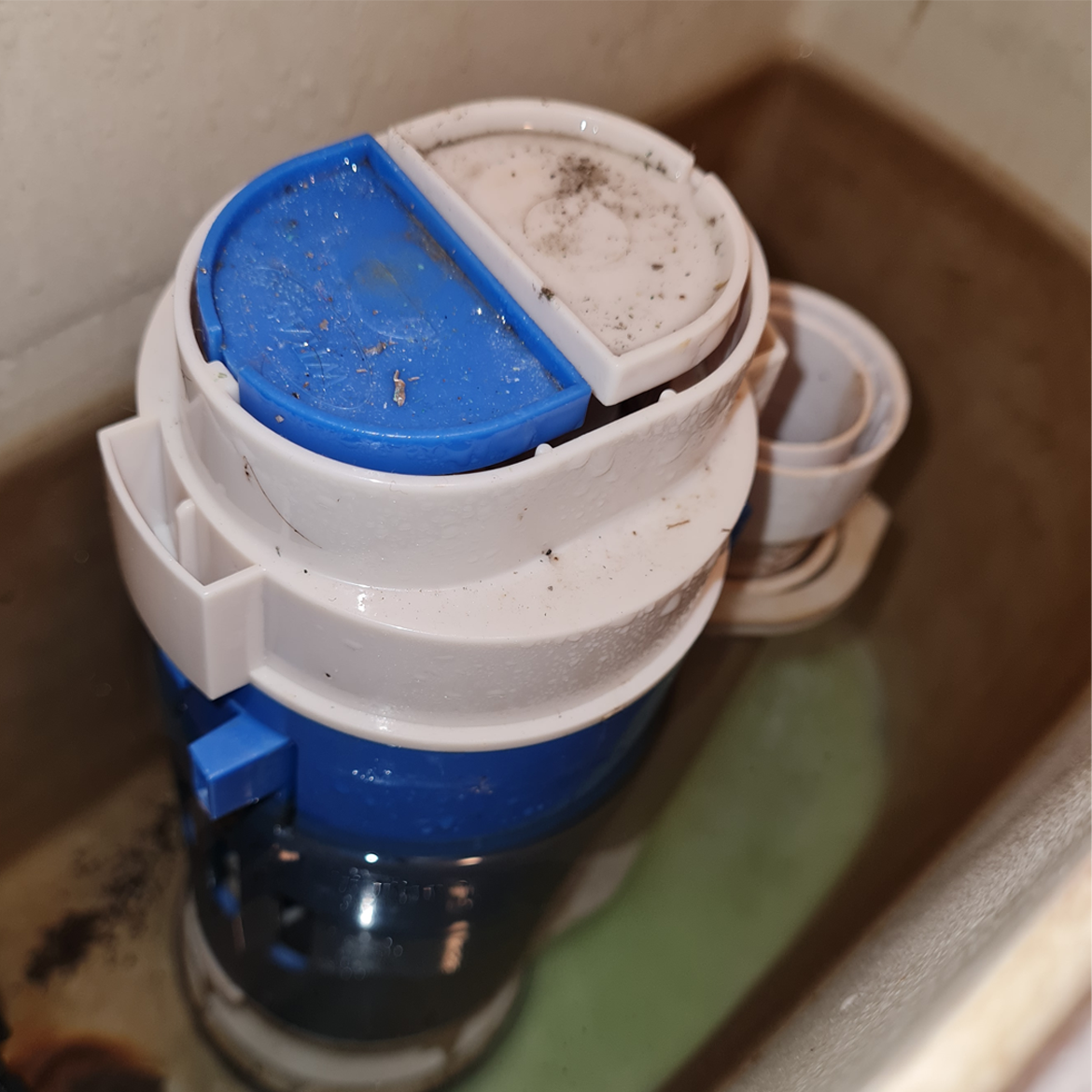 How to fix a leaking toilet Bunnings community