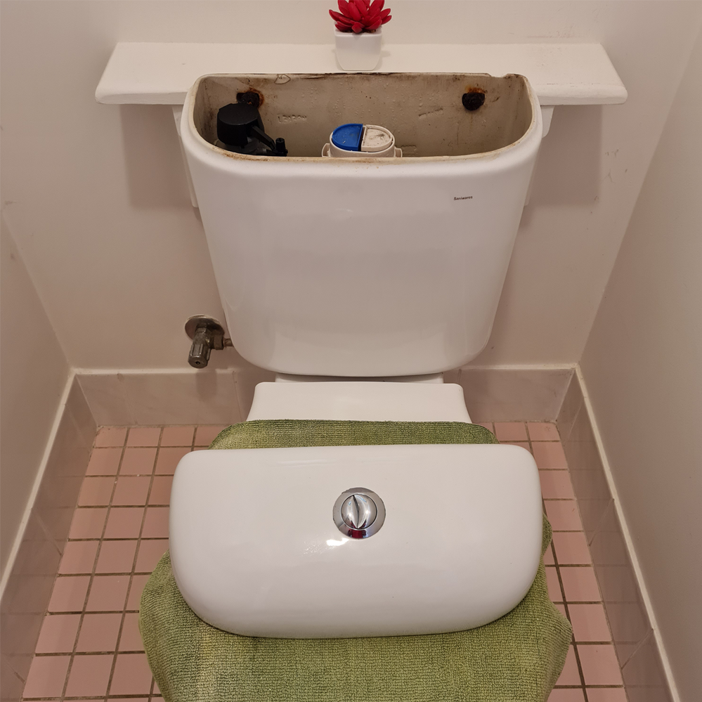 5.2 Wait for cistern to fill and listen for leaks.png